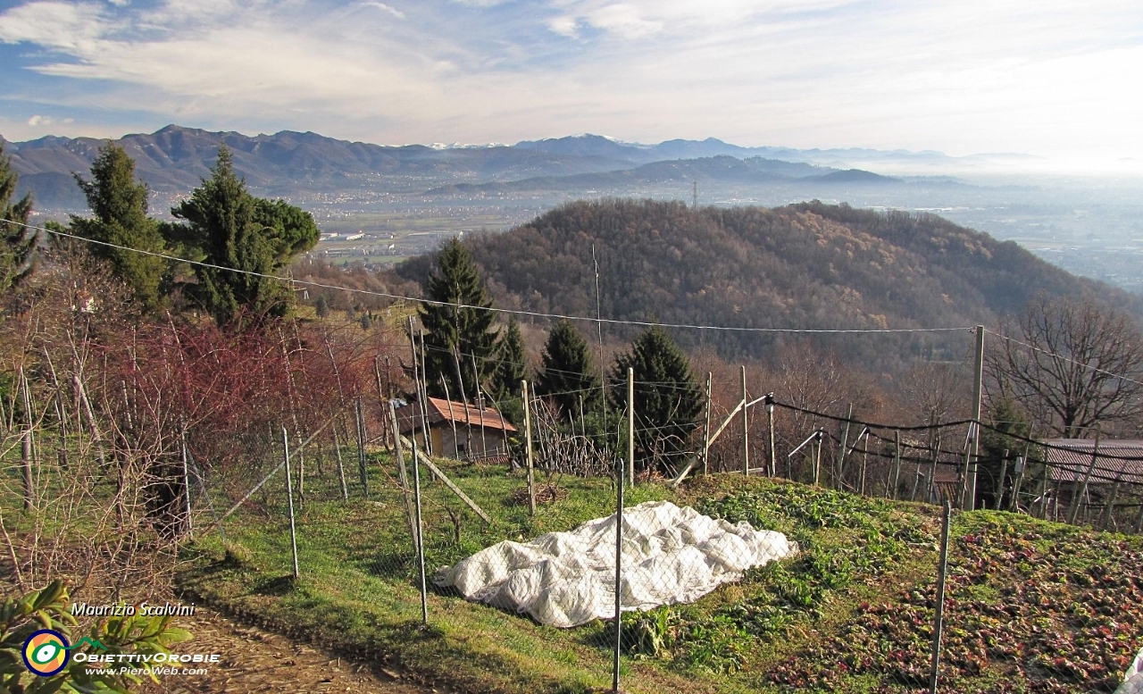 25 Dal sentiero di Montealbano, panorama verso i Colli di Bergamo e il Canto Alto....JPG